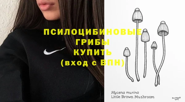mdpv Гусь-Хрустальный