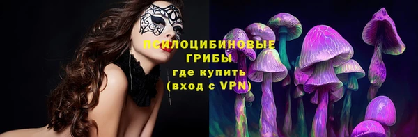 мдпв Гусиноозёрск