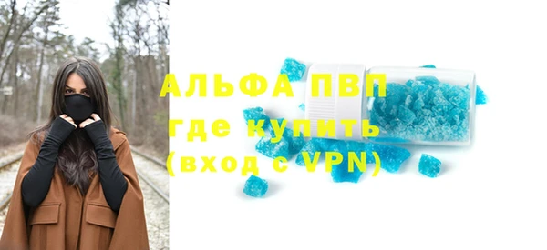 spice Гусев