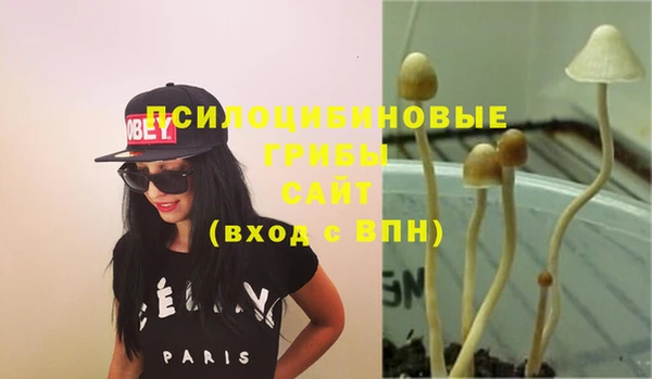 spice Гусев
