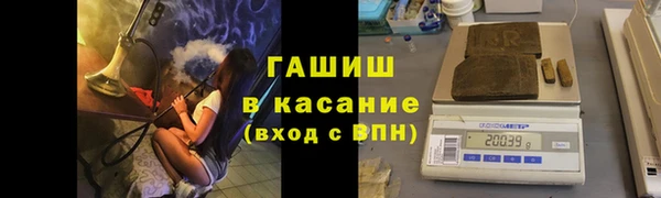 spice Гусев