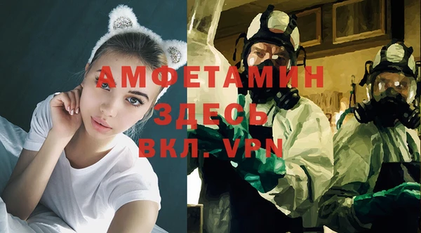 spice Гусев